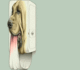 gal/1994/The_Party_1994/_thb_my_dog.png